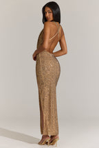 oh-polly-eulalie-embellished-plunge-cowl-neck-maxi-dress-in-gold-leopard_16760EulalieGoldLeopard_2.jpg